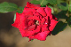 image0363