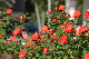 image0366