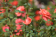 image0368
