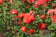 image0370