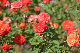 image0371