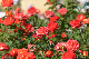 image0372