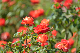 image0376