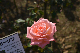 image0377