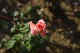 image0379