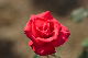 image0381