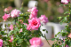 image0383