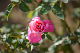 image0384