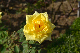 image0385