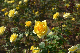 image0386