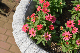 image0388