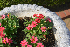 image0389
