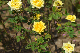 image0390