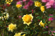 image0391