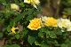 image0392
