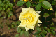 image0396