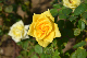 image0397