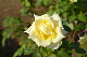 image0398