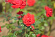 image0400