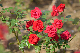 image0401