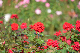 image0402