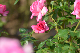 image0403
