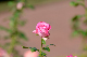 image0404