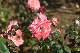 image0405