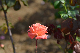 image0408