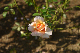 image0412