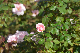 image0417