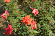 image0420