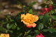 image0423