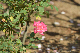 image0428