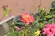 image0430