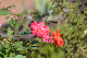 image0432