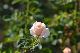 image0434