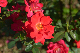 image0441