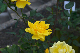 image0444