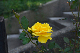 image0445