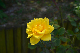 image0446