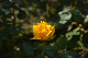 image0447