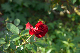 image0449