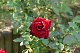 image0451