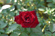 image0457