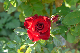 image0458