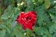 image0459