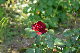 image0460