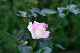 image0469