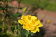 image0471
